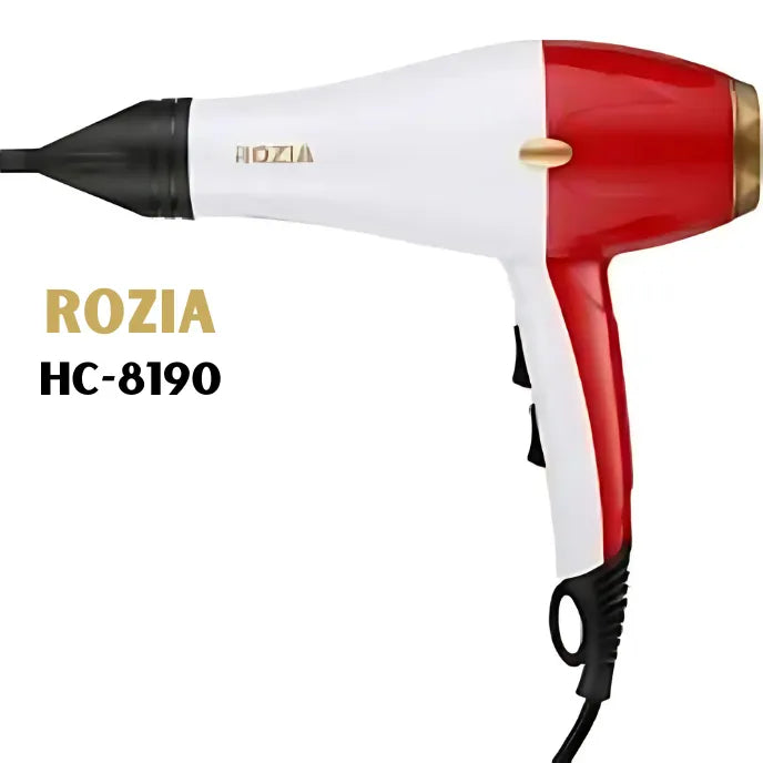 HC8190 4000W DC Motor Hair Dryer