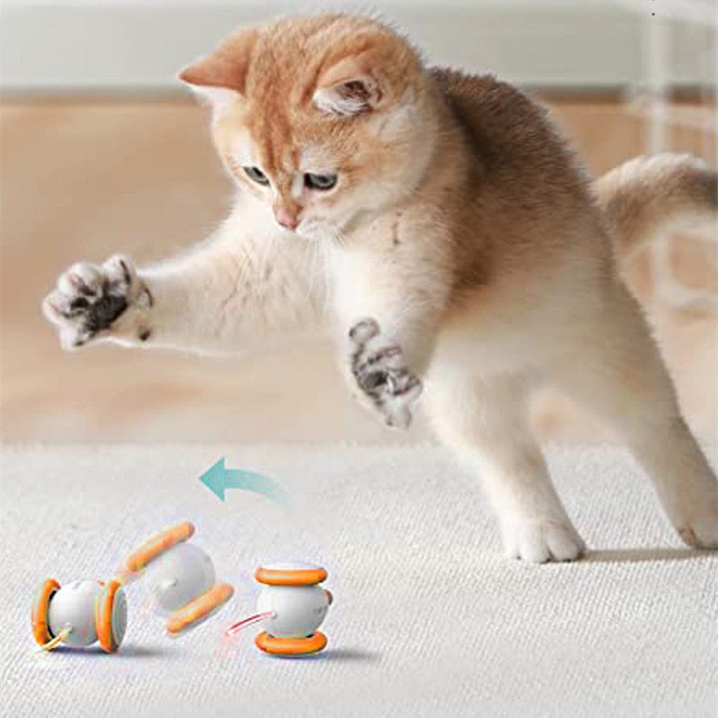 Orange Plastic Cat Toy
