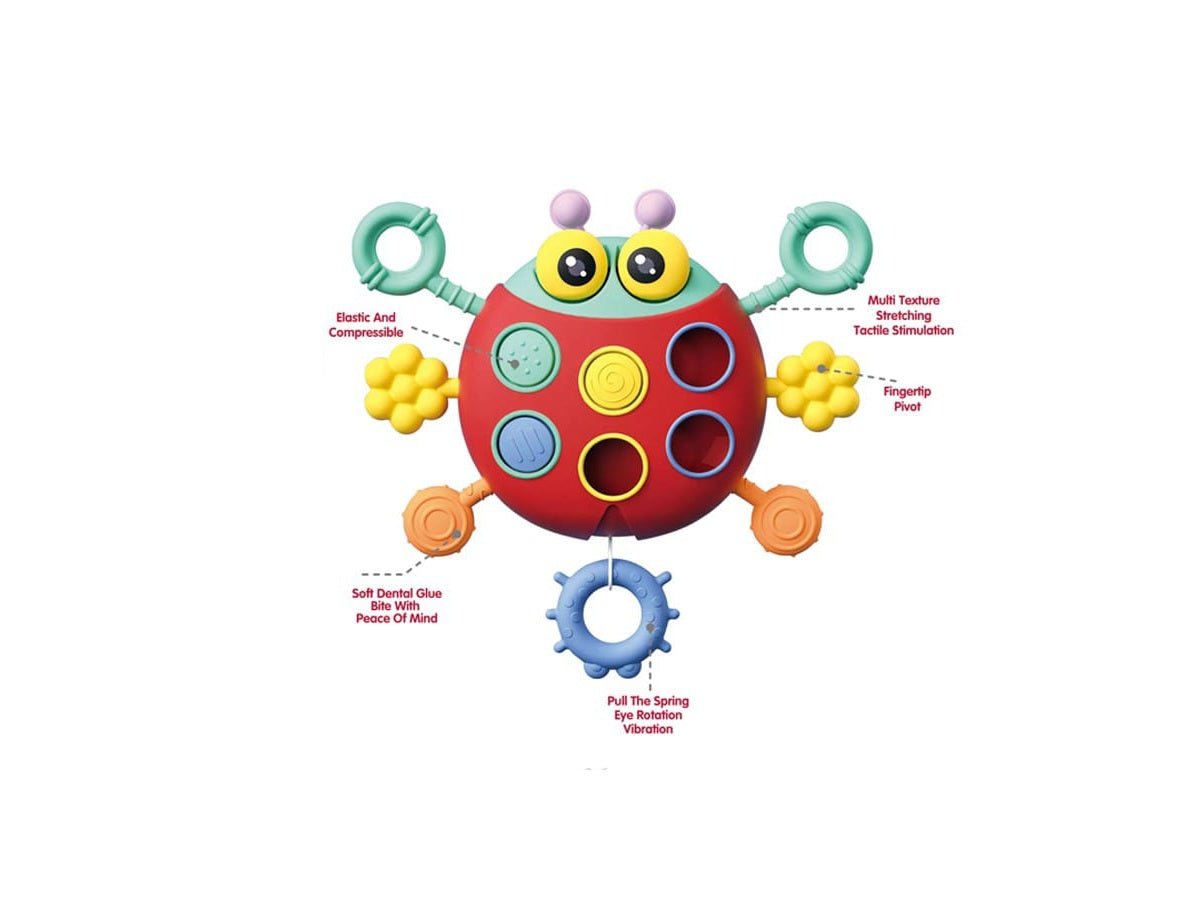 Ladybug Sensory Pull Toy
